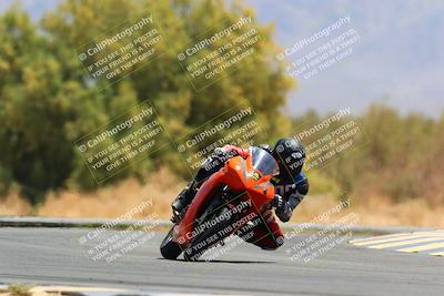 media/May-15-2022-SoCal Trackdays (Sun) [[33a09aef31]]/Turn 7 (1145am)/